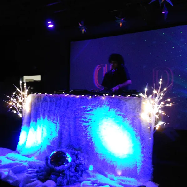 ARCTIC GROOVES — photo 2